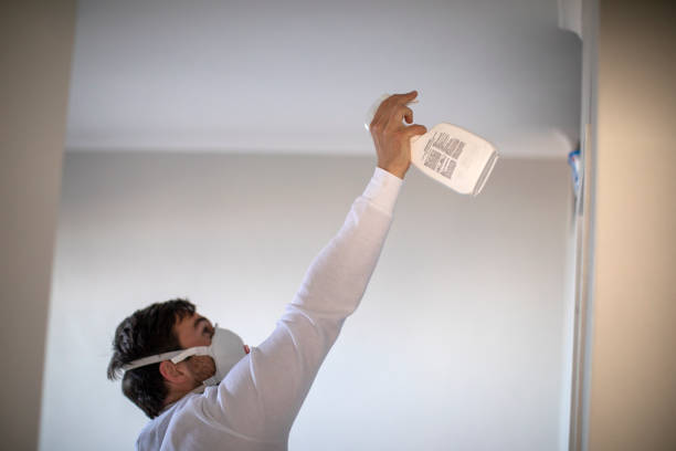 Best Emergency Mold Removal  in Flora, IL